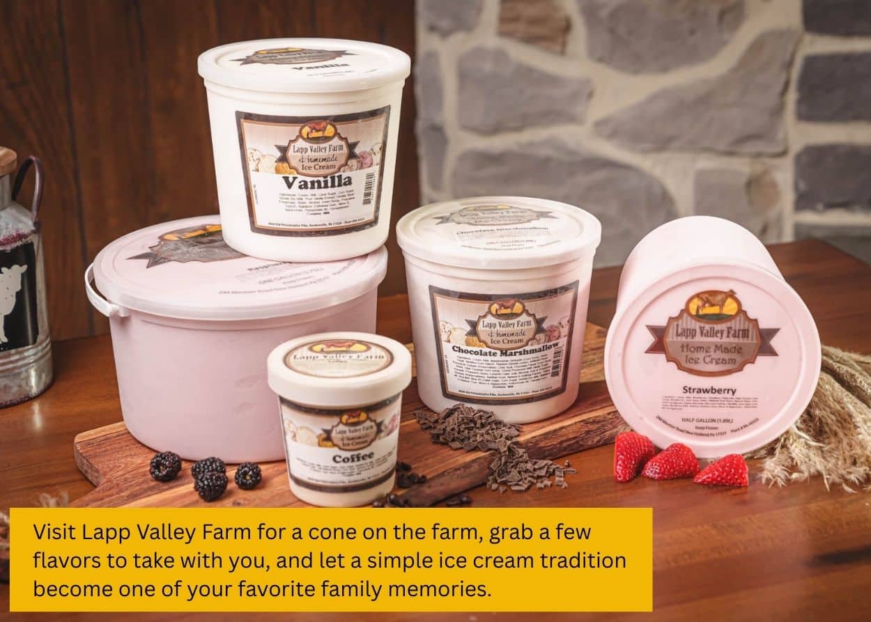 Assortment of homemade ice cream containers from Lapp Valley Farm displayed on a table. Caption: Visit Lapp Valley Farm for a cone on the farm, grab a few flavors to take with you, and let a simple ice cream tradition become one of your favorite family memories.