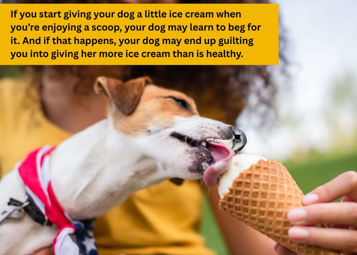 Dog eagerly licking ice cream from a cone while sitting with its owner outdoors.
