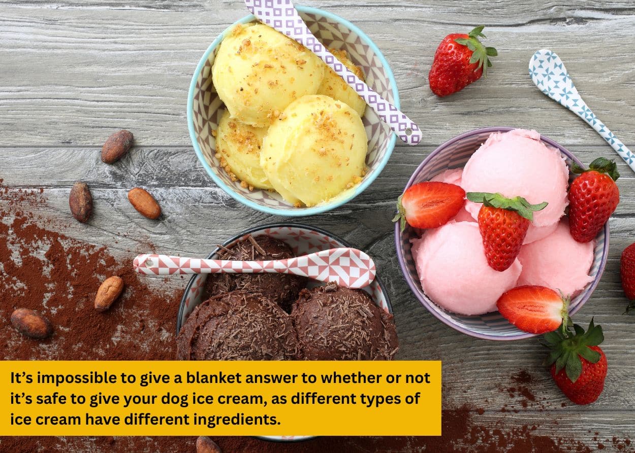 Bowls of chocolate, strawberry, and vanilla ice cream with cocoa powder and strawberries illustrating common ice cream ingredients.