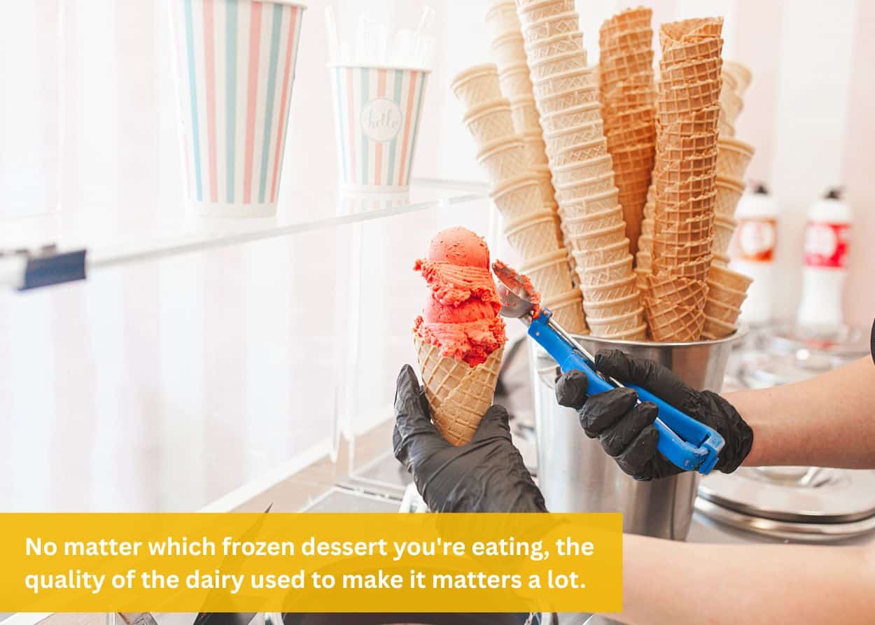 Fresh frozen custard scooped into a waffle cone, highlighting the difference between ice cream and custard.